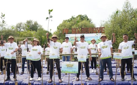 PLN Tanam 5.000 Mangrove di Angke Kapuk untuk Cegah Abrasi Jakarta