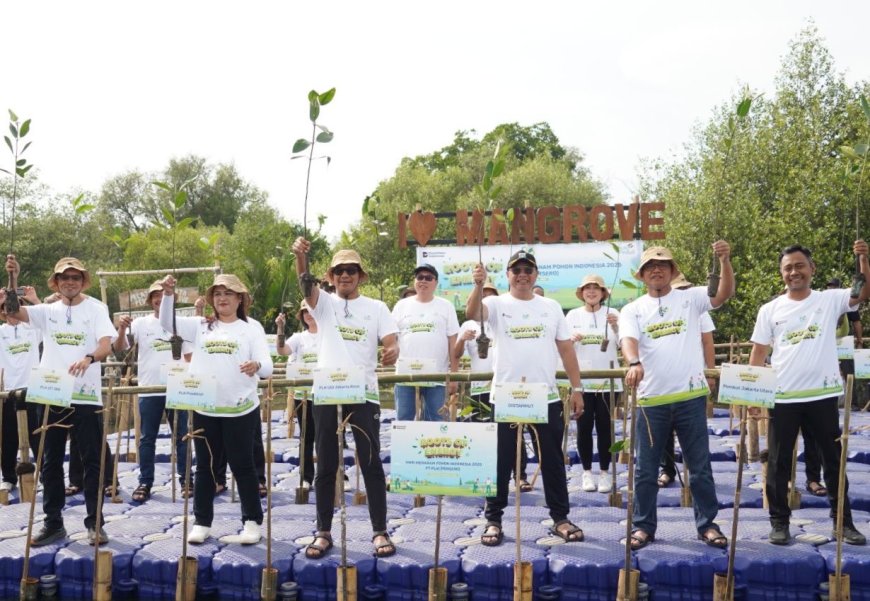 PLN Tanam 5.000 Mangrove di Angke Kapuk untuk Cegah Abrasi Jakarta