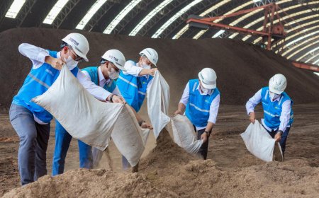 PLN Gunakan Teknologi TOSS Ubah Sampah Biomassa jadi Pengganti Batu Bara