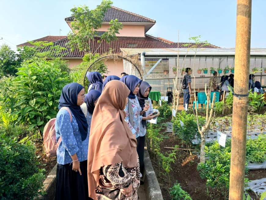 Mahasiswa FK UMP Ikuti Workshop Kedokteran Herbal, Belajar Langsung Identifikasi Tanaman Obat di Banyumas