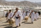 Dam Jemaah Haji Indonesia Dipotong di Tanah Suci, Mayoritas Daging Disalurkan untuk Palestina