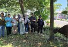 Lazismu Uhamka Terima Penyaluran Sapi Kurban dari KDK Matahari