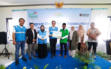 PLN Dorong Produktivitas Tambak Udang di Bekasi, Program Electrifying Agriculture Tingkatkan Hasil Panen