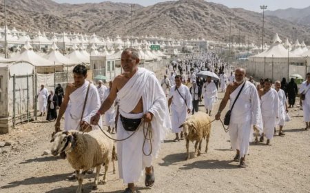 Dam Jemaah Haji Indonesia Dipotong di Tanah Suci, Mayoritas Daging Disalurkan untuk Palestina