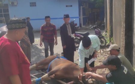 Unismuh Makassar Sembelih 38 Hewan Kurban pada Iduladha 1447 Hijriah