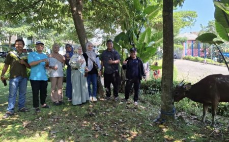 Lazismu Uhamka Terima Penyaluran Sapi Kurban dari KDK Matahari