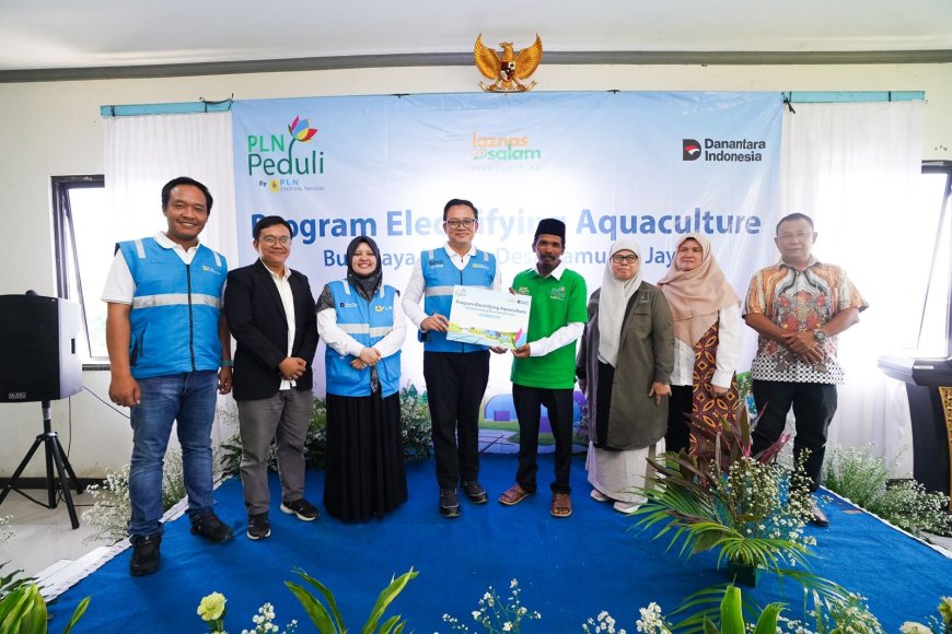 PLN Dorong Produktivitas Tambak Udang di Bekasi, Program Electrifying Agriculture Tingkatkan Hasil Panen