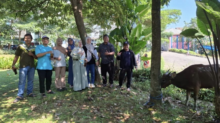 Lazismu Uhamka Terima Penyaluran Sapi Kurban dari KDK Matahari