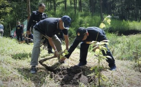 Rehabilitasi Hutan di Pujon Hill Hasilkan Mata Air Baru untuk Masyarakat