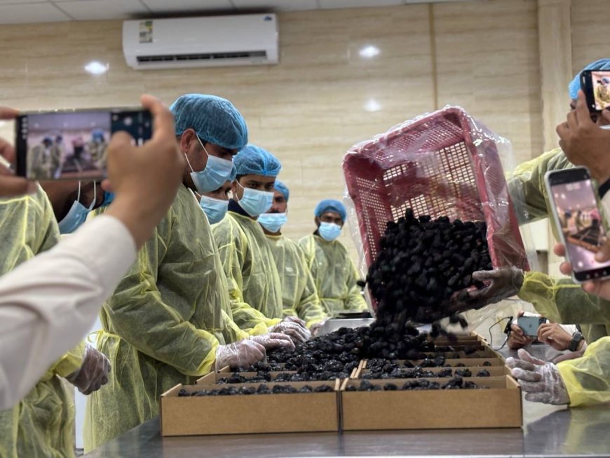 Kurma Ajwa Madinah Tetap Jadi Primadona Jemaah Haji, Ini Keistimewaan dan Khasiatnya