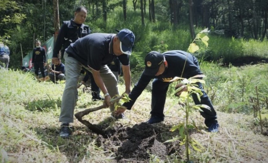 Rehabilitasi Hutan di Pujon Hill Hasilkan Mata Air Baru untuk Masyarakat