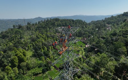 Tarif Listrik PLN Triwulan III 2026 Resmi Tidak Naik, Ini Alasan Pemerintah