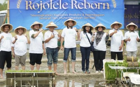Muhammadiyah Hidupkan Kembali Rojolele, Perkuat Kedaulatan Pangan dari Klaten