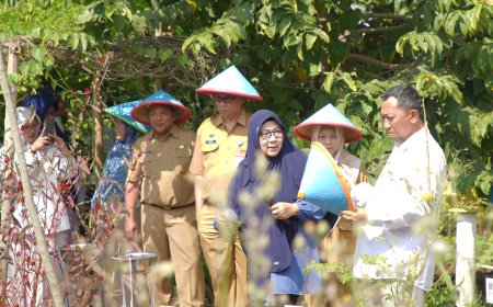 UMP Resmikan Kebun Kedokteran Herbal di Banyumas, Dorong Inovasi Pengobatan Berbasis Bahan Alam