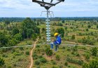 Hari Listrik Nasional Ke-81, PLN Pimpin Akselerasi Transisi Energi Bersih dan Siapkan Swasembada Listrik Hijau