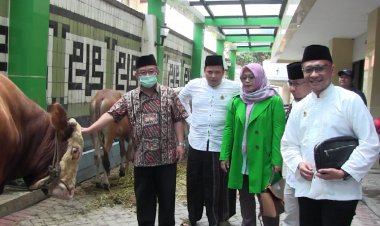 Abdul Mu'ti Terima Seekor Sapi Kurban Dari PPP