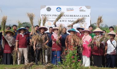 Jebul Suroso Hadiri Panen Perdana Fakultas Pertanian dan Perikanan UMP di Lahan Percobaan