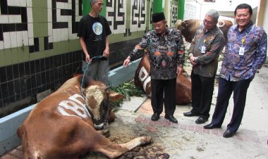 Muhammadiyah Terima Sapi Kurban dari Bank KBBS