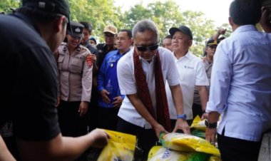 Cek Harga Bapok di Banten, Mendag Zulhas: Sudah Stabil