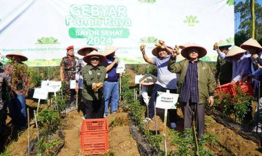 Majelis Pemberdayaan Masyarakat dan LP UMKM Gelar Gebyar Panen Raya Sayur Sehat 2024