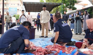 Iduladha 1445 H, UMSU Sembelih 60 Hewan Kurban