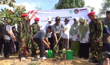 Aksi Penanaman Pohon PP Muhammadiyah-Kemenko PMK di Kepri