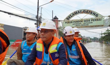 Pastikan Keamanan Listrik dan Bantu Warga, General Manager PLN UID Jakarta Raya Cek Langsung ke Lokasi Banjir