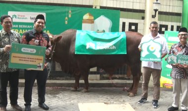 Jelang Idul Adha, Lazismu Terima Bantuan Sapi Kurban dari Shopee Barokah