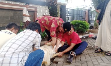 Muhammadiyah Manfaatkan RPH Untuk Sembelih Hewan Kurban