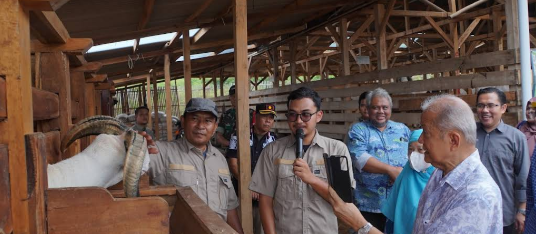 Uhamka Agrovision Bantu Jemaah Haji Bayar Dam, Siapkan Ratusan Domba