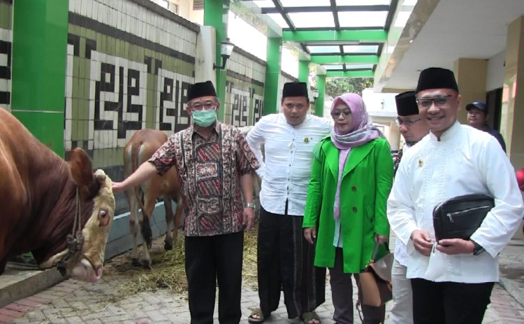Abdul Mu'ti Terima Seekor Sapi Kurban Dari PPP