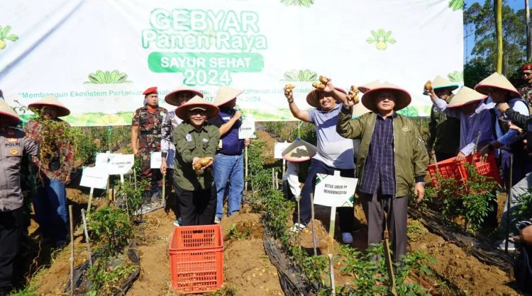 Majelis Pemberdayaan Masyarakat dan LP UMKM Gelar Gebyar Panen Raya Sayur Sehat 2024