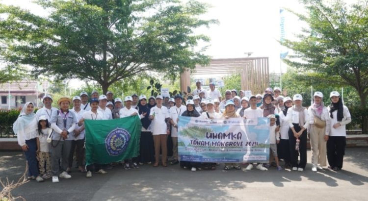 LPPM Uhamka Tanam Mangrove di Mauk Kabupaten Tangerang