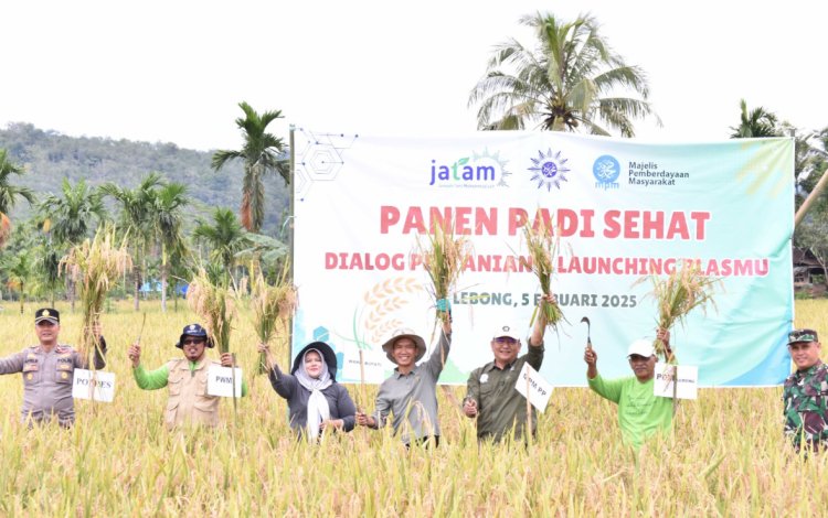 Majelis Pemberdayaan Masyarakat Lakukan Panen Padi Sehat di Kampung Jawa Bengkulu