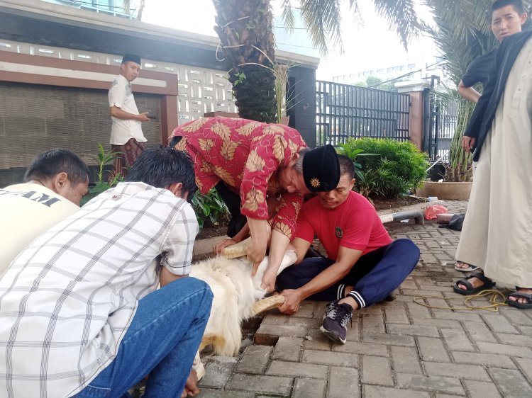 Muhammadiyah Manfaatkan RPH Untuk Sembelih Hewan Kurban